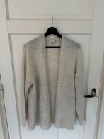 Vest Isay maat M, Kleding | Dames, Ophalen of Verzenden, Gedragen, Maat 38/40 (M)