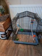 Grasparkiet pop, Ophalen, Zo goed als nieuw, Hout, Vogelkooi