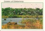 Groeten uit Oldeberkoop., Ophalen of Verzenden, 1980 tot heden, Gelopen, Friesland