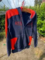 Max Verstappen vest maat xs, Ophalen of Verzenden, Zo goed als nieuw, Formule 1