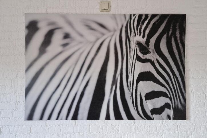 Canvas schilderij, Huis en Inrichting, Woonaccessoires | Schilderijen, Tekeningen en Foto's, Zo goed als nieuw, Schilderij, 75 cm of meer
