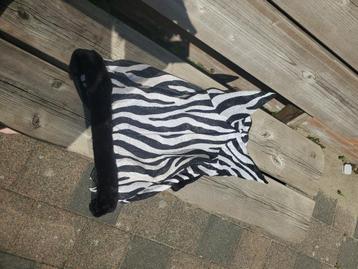 Vliegenkap zebra full beschikbaar voor biedingen