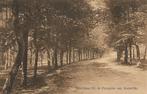 Austerlitz- -Boschlaan bij de Pyramide., Verzamelen, Ansichtkaarten | Nederland, Verzenden, 1920 tot 1940, Ongelopen, Utrecht