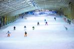 vier 2uurs-kaarten snowworld voor 20 p/st, Drie personen of meer, September