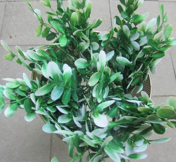 BOSJE EUCALYPTUS KUNST TAKJES beschikbaar voor biedingen