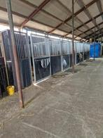 stalling en weidegang aangeboden, Dieren en Toebehoren, Stalling en Weidegang, Weidegang