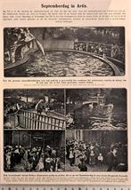 Artis 1912; foto-art. 1½ blz. Septemberdag in Artis, Verzenden, Voor 1940, Gebruikt, Dier