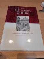 Boek Hendrik Odink, Boeken, Ophalen of Verzenden, Zo goed als nieuw