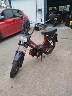 Tomos 50cc, Fietsen en Brommers, Brommers | Tomos, Ophalen, Gebruikt, Maximaal 45 km/u, 2 versnellingen