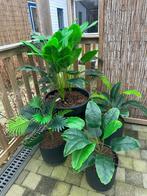 Buiten Kunst planten, Ophalen, Zo goed als nieuw, Buiten