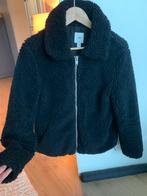 Teddy jas maat XS, Kleding | Dames, Jassen | Winter, Maat 34 (XS) of kleiner, H&M, Ophalen of Verzenden, Zo goed als nieuw