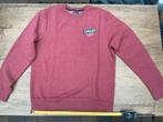 Nieuwe bordeaux rode heren trui Superdry maat XXL, Ophalen, Nieuw, Overige maten, Rood