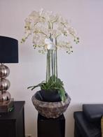 Kunst Orchideeën in schelpenvaas, Ophalen, Zo goed als nieuw
