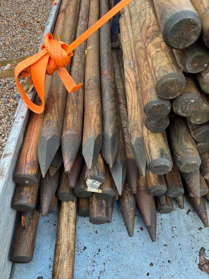 Boompalen, Tuin en Terras, Palen, Balken en Planken, Nieuw, Palen, 250 cm of meer, Hardhout, Ophalen