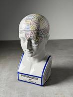 medisch hoofd Phrenology, Ophalen of Verzenden, Zo goed als nieuw