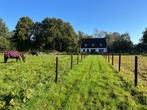 Stalling met weidegang aangeboden voor pony ruin, Weidegang, 1 paard of pony