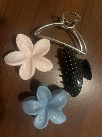 Haarclips Set van 4 beschikbaar voor biedingen