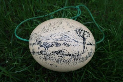 struisvogel ei met tekening van landschap, Antiek en Kunst, Curiosa en Brocante, Ophalen of Verzenden