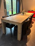 Tafel 300x95 met 12 zwarte stoelen, Huis en Inrichting, Tafels | Eettafels, Ophalen, 200 cm of meer, 50 tot 100 cm, Zo goed als nieuw