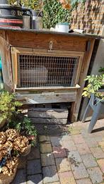 Konijnenhok, Dieren en Toebehoren, Knaagdieren en Konijnen | Hokken en Kooien, Ophalen, 90 cm of meer, Hok, 110 cm of meer