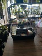 Vogel hok / chinese dwerghamster hok, Dieren en Toebehoren, Knaagdieren en Konijnen | Hokken en Kooien, Ophalen of Verzenden, Minder dan 75 cm