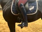 Derby lak rijlaarzen blauw 39, Dieren en Toebehoren, Paardrijkleding, Ophalen of Verzenden, Zo goed als nieuw, Dressuur