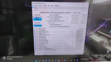 SAMSUNG evo970pro SSD M2 PCIE 256 GB uit een werkend hp pc. 