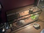 Terrarium voor Reptielen 100x50x50, Dieren en Toebehoren, Ophalen, Nieuw, Terrarium of Paludarium