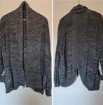 Apart Gemeleerd gebreid dun grijs vest rits op rug Repeat 40, Ophalen of Verzenden, Zo goed als nieuw, Grijs, Maat 38/40 (M)