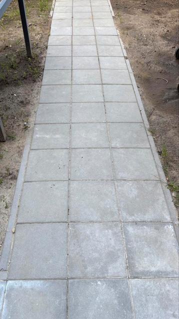 Betontegels 200 stuks beschikbaar voor biedingen