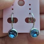 Oorbellen, Sieraden, Tassen en Uiterlijk, Oorbellen, Ophalen of Verzenden, Zo goed als nieuw, Overige materialen