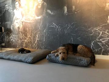 Hondenkussen hotdogdesigns. 85x60cm beschikbaar voor biedingen