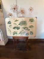 Oude Hebri schoolplaat - Egeltje, Ophalen of Verzenden, Natuur en Biologie