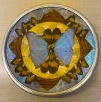 Vintage echte blue morpho vlinder kunst bord, Ophalen of Verzenden