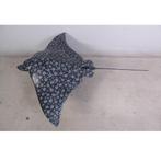 Spotted Eagle Ray – Rog beeld Lengte 187 cm, Verzamelen, Dierenverzamelingen, Nieuw, Ophalen