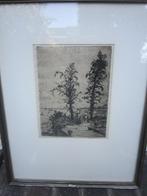 Poppe Damave, (P.Scheen), Mooie ets,Riv schepen, Bomen, Antiek en Kunst, Ophalen of Verzenden