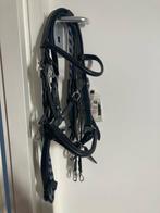 Fra halterhoofdstel /bitloos hoofdstel NIEUW! Maat cob, Dieren en Toebehoren, Paarden en Pony's | Hoofdstellen en Tuigage, Ophalen of Verzenden