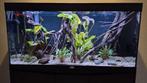 Aquatlantis Splendid Aquarium 120x40x60, Ophalen, Zo goed als nieuw, Leeg aquarium