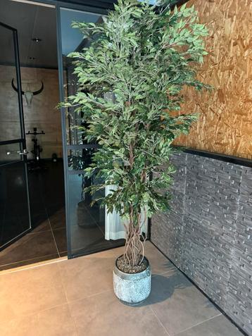 Kunstplanten 3 stuks 210 hoog beschikbaar voor biedingen