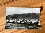 Ansichtkaart Julianadorp, camping de zwaluw, Ophalen of Verzenden, 1960 tot 1980
