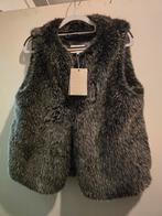 Nieuw maicazz gilet M, Kleding | Dames, Bodywarmers, Ophalen of Verzenden, Nieuw