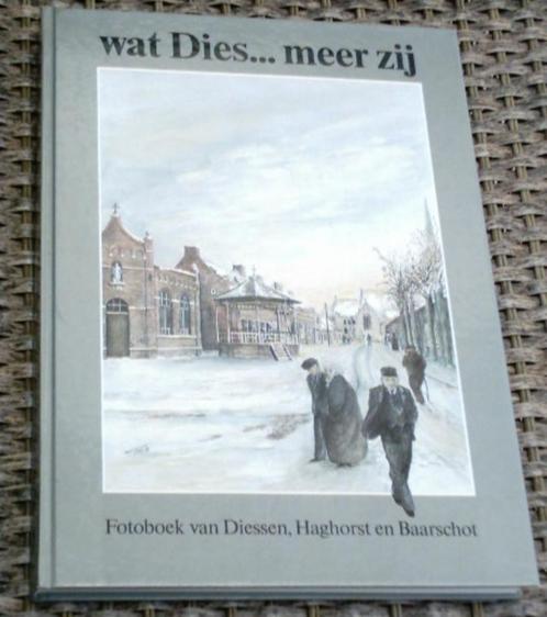 Fotoboek van Diessen, Haghorst en Baarschot. Gust de Vries., Boeken, Geschiedenis | Stad en Regio, Zo goed als nieuw, 20e eeuw of later