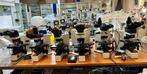 Olympus BX microscopen, Ophalen of Verzenden, Zo goed als nieuw, 400x tot 1000x, Biologische microscoop