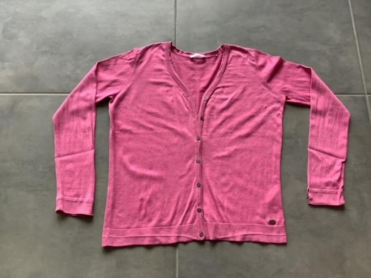 EDC dames vest maat XL kleur roze, Kleding | Dames, Truien en Vesten, Gedragen, Maat 46/48 (XL) of groter, Roze, Ophalen of Verzenden