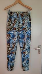 Travel pants travelpants Thombiq S multi, Kleding | Dames, Thombiq, Overige kleuren, Ophalen of Verzenden, Zo goed als nieuw