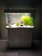 Juwel Rio 125 compleet!, Ophalen, Zo goed als nieuw, Gevuld zoetwateraquarium