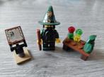 Lego Castle Kingdoms 7955 Wizard - compleet, Ophalen of Verzenden, Zo goed als nieuw