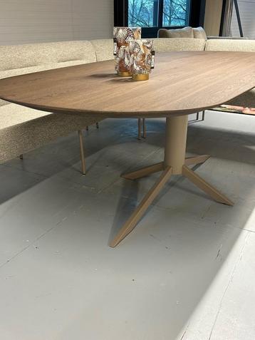 DYYK Flint eetkamertafel Capsule of Rechthoekige vorm. beschikbaar voor biedingen