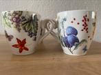 Janneke Brinkman Servies Seasons “herfst”, Ophalen, Zo goed als nieuw, Overige stijlen, Kop(pen) en/of Schotel(s)