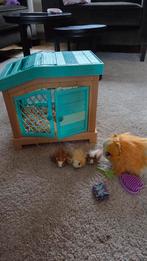 Little Live Pets Cavia Hok met Moeder en Baby's, Ophalen, Gebruikt, Jongen of Meisje